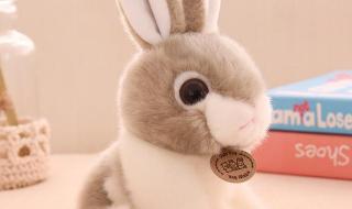 嫌肥挑瘦是什么生肖