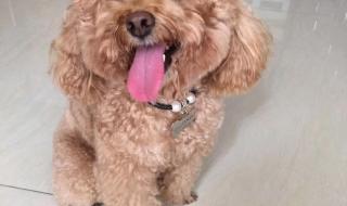 惠州大亚湾万达广场