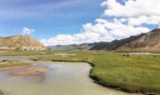 双流机场航班查询 双流机场航班查询