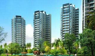 gt440和gt730 gt440和gt730